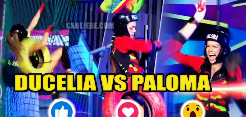 DUCELIA VS PALOMA