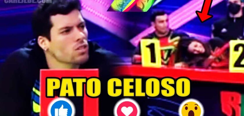 PATO CELOSO2