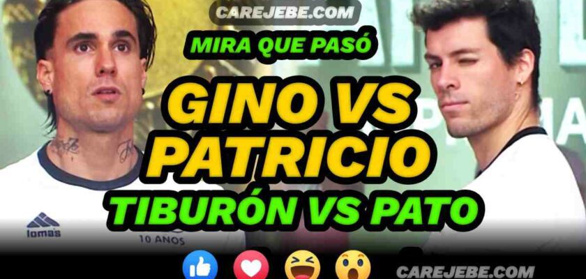 GINO VS PATRICIO TIBURON CONTRA PATITO