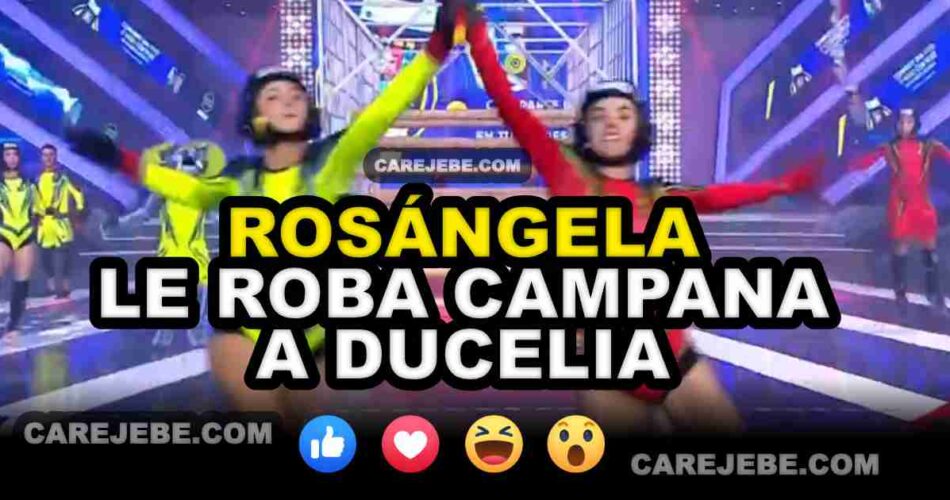 rosangela le roba a ducelia campana care