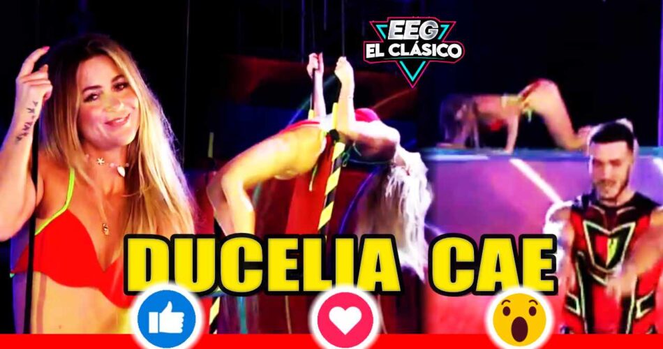 DUCELIA CAE