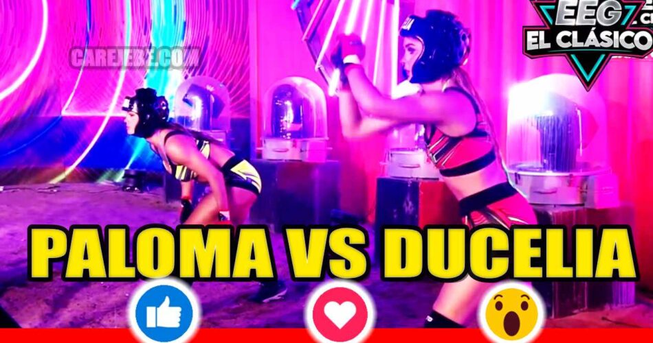 PALOMA VERSUS DUCELIA 1