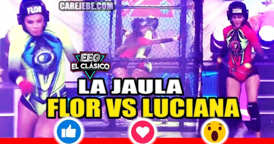 LUCIANA FUSTER VS FLOR EN LA JAULA