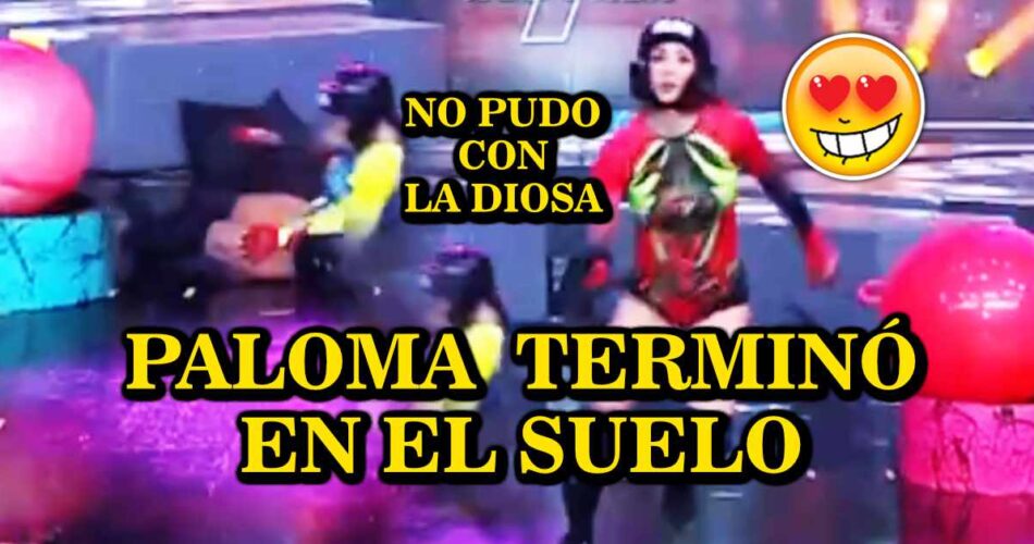 PALOMA TERMINA EN EL SUELO