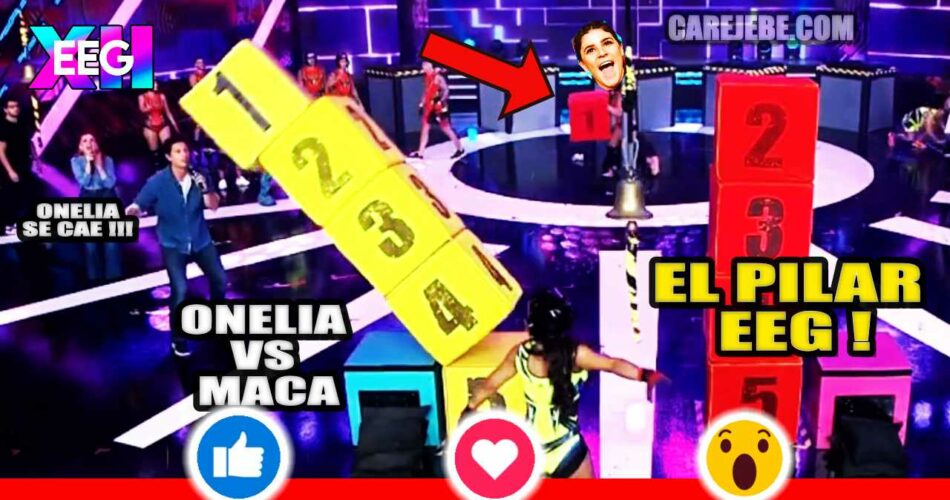 ONELIA VS MCA EL PILAR SE CAE