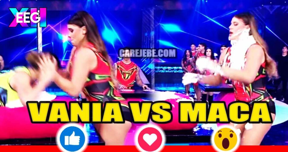 VANIA VS MACA