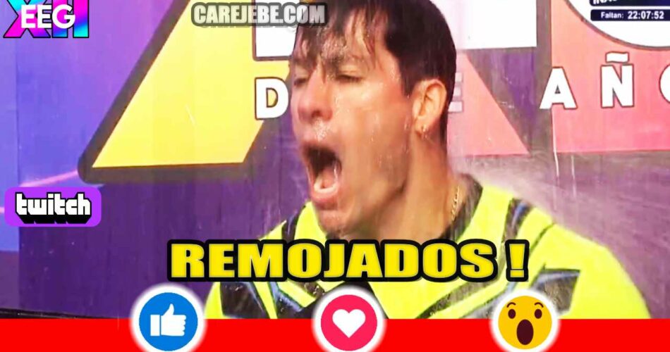 REMOJADOS 1